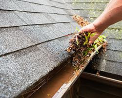 clean your gutters