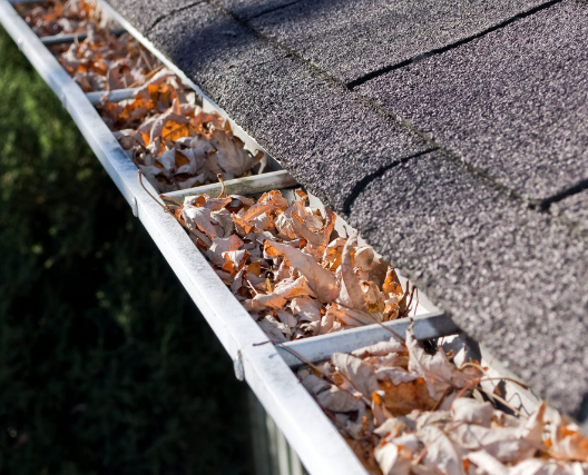 Gutter Cleaning Home Dangers